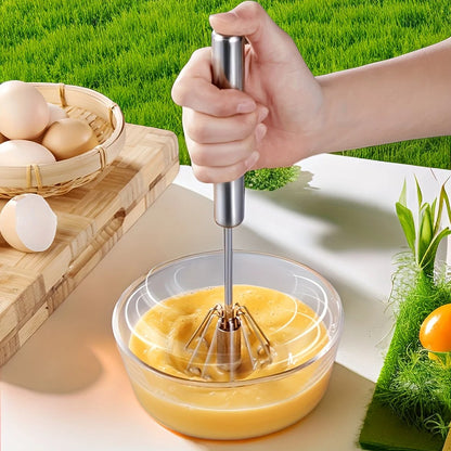 Steel Egg Beater